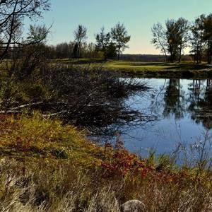 Meet your Posher, Maureen